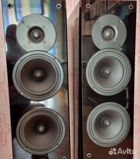 Колонки Cortland