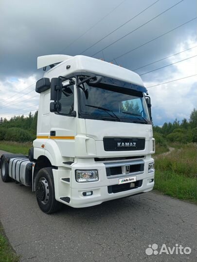 КАМАЗ 5490 NEO, 2019