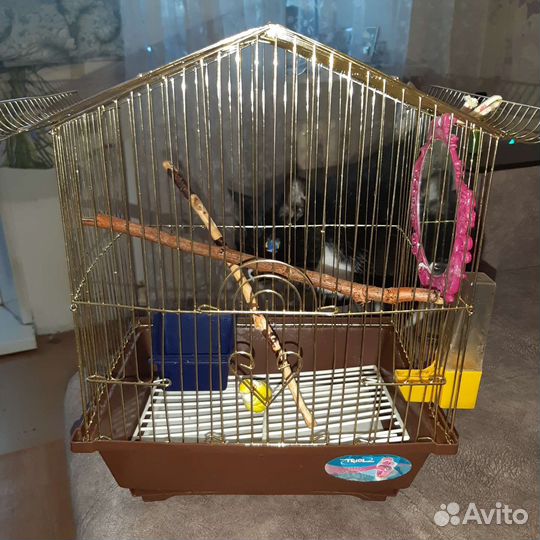Клетка для птиц бу