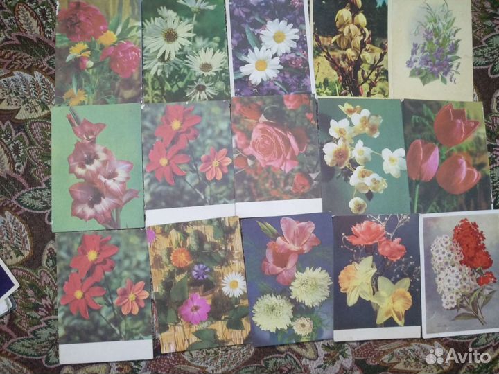 Открытки СССР