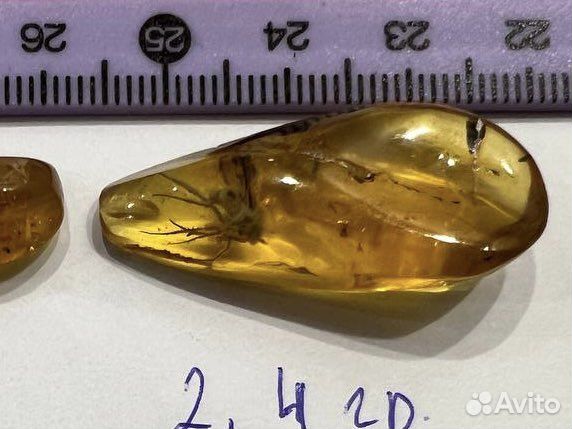 Янтарь с насекомыми внутри 52,9 гр