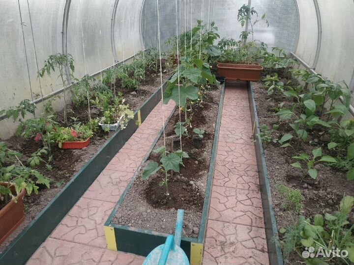 Грядки для парников