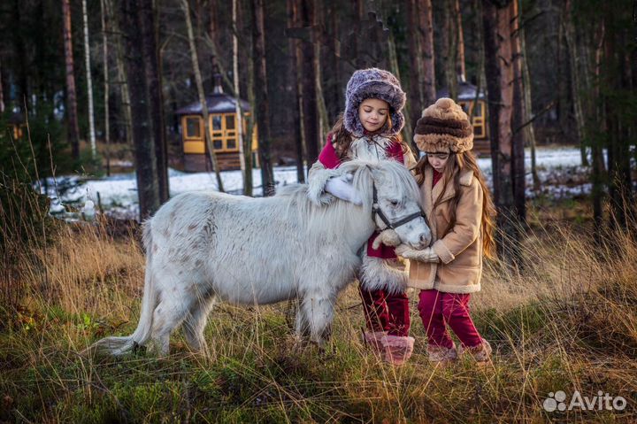 Фотограф семейный, детский