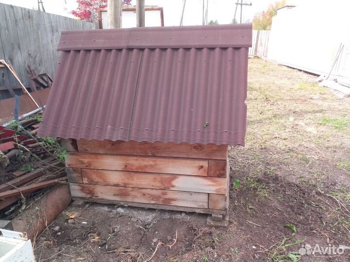 Собачья будка