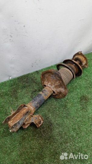 Амортизатор передний правый Nissan Almera N16 1.8