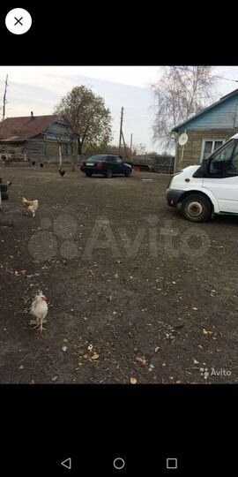 Дом 56 м² на участке 1,06 га