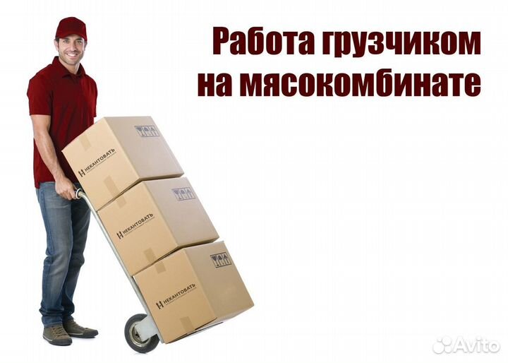 Грузчик разнорабочий проезд питание проживание