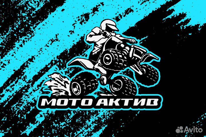 Квадроцикл promax storm 300сс LUX