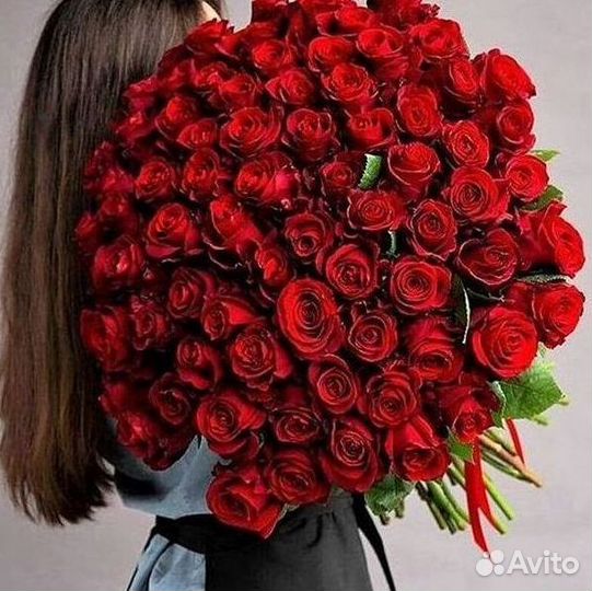 Розы Букеты Цветы Розы 31 101 151 201 Доставка