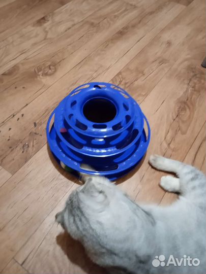 Игрушки для кошек