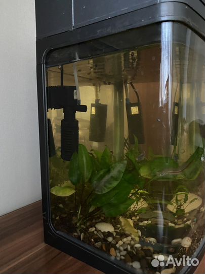 Аквариум