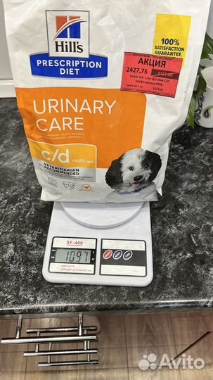 Корм для собак