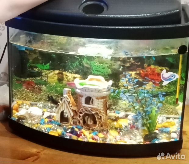 Аквариум