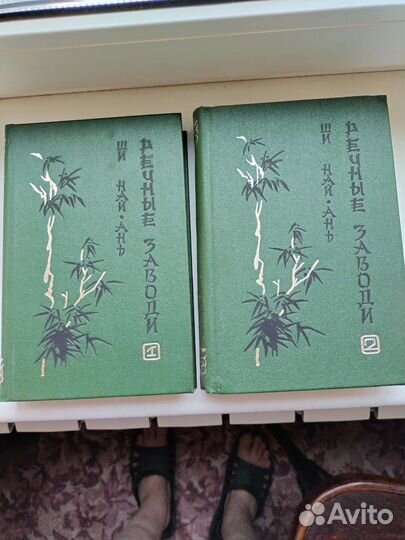 Ши Най Ань. Речные заводи