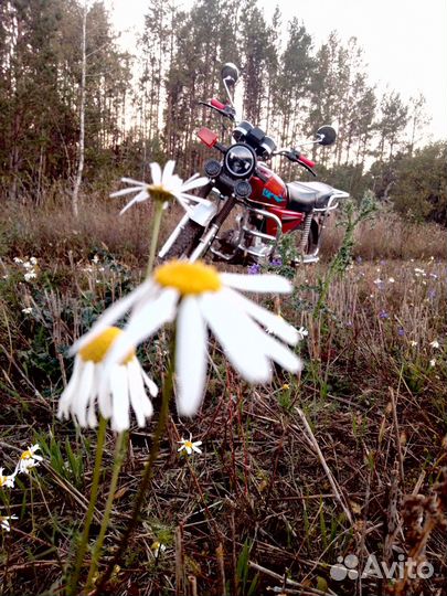 Мопед Альфа Crosser Bs50