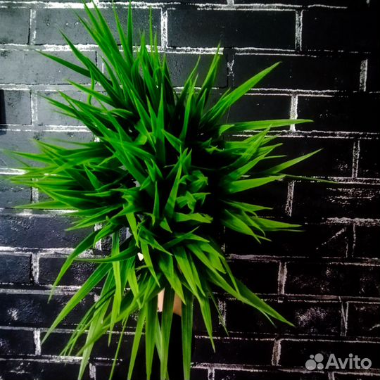 Искусственная зелень, блоки с осокой