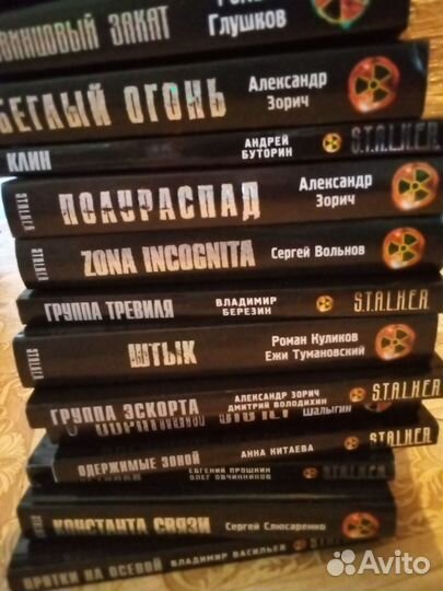 Книги из серии Сталкер и метро 2033