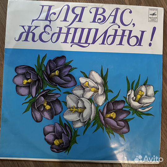 Виниловые пластинки (грампластинки)