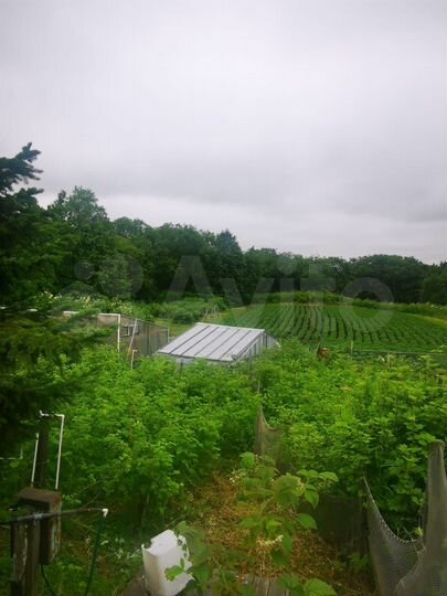 Участок 25 сот. (СНТ, ДНП)