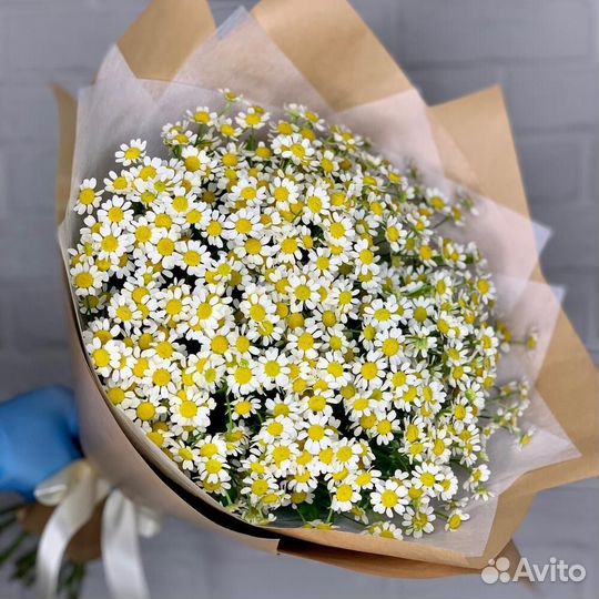 Букет из ромашек подарок на 8 марта