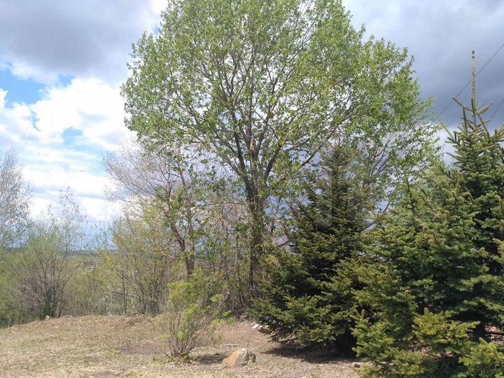 Коттедж 220 м² на участке 20 сот.