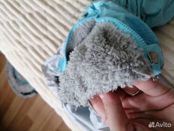 Одежда для собак