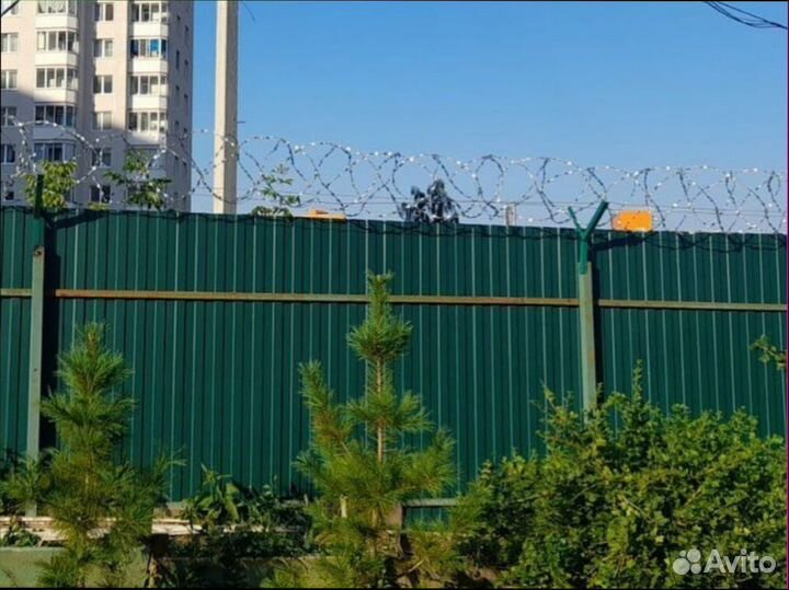 Колючая проволока Егоза