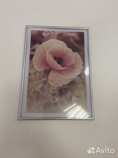 Рамка для фотографий, грамот А4