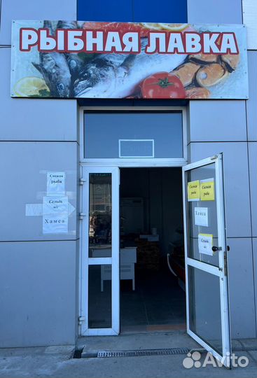 Продавец в рыбный магазин