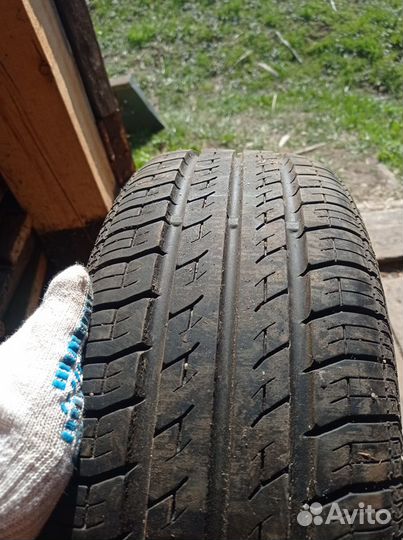 Continental ContiEcoContact CP 185/60