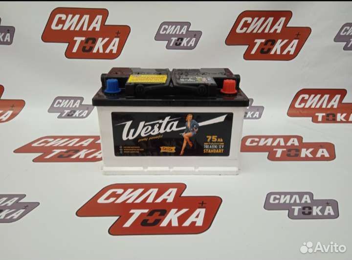 Аккумулятор для Opel opc низкий