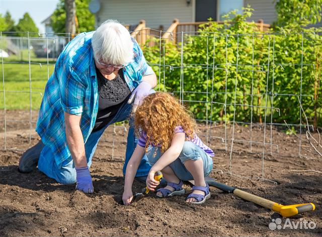 Плодородный чернозем