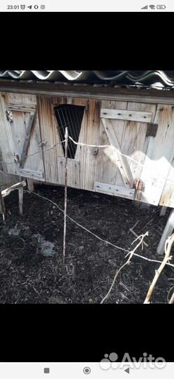 Клетка кроликов