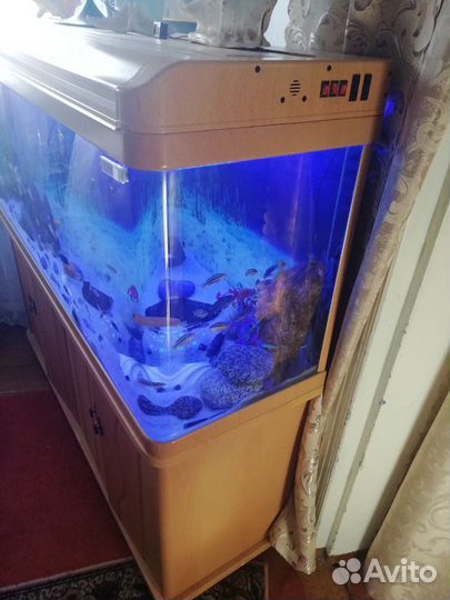 Аквариум