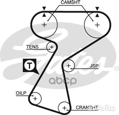 5244XS Ремень грм renault 1.8 91-99 (148x25.4)