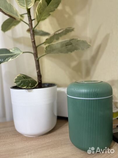 Увлажнитель воздуха