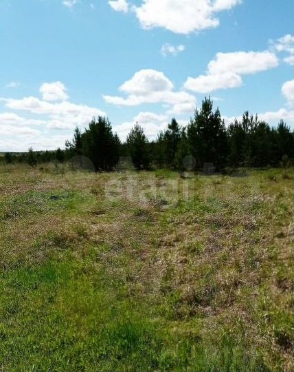 Участок 25,1 сот. (личное подсобное хозяйство (лпх))