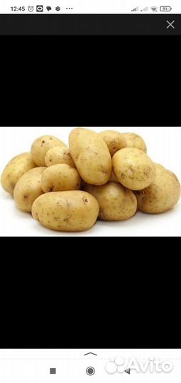 Продам картофель