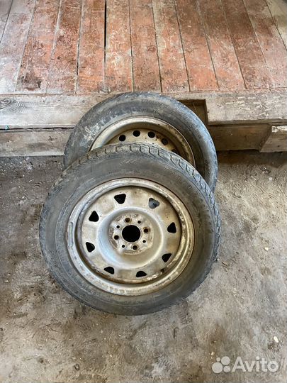 Tunga Zodiak 2 175/65 R14 86T