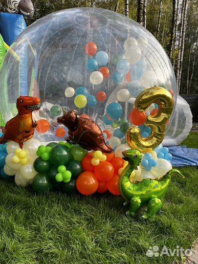 Аттракцион на дачу Бабл хаус