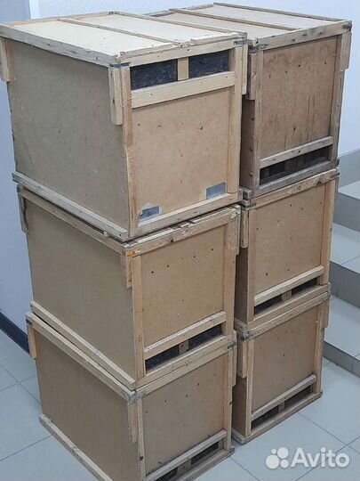 Пчелопакеты карника, карпатка, бакфаст