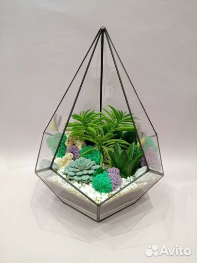 Флорариум подарочный