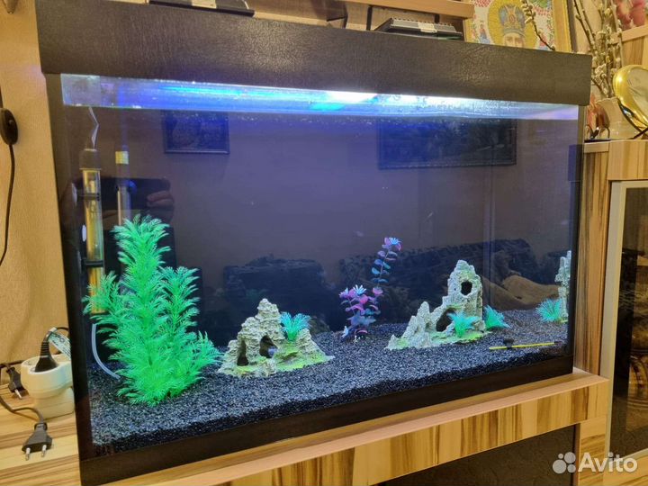 Аквариум