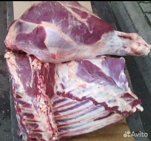 Мясо говядина