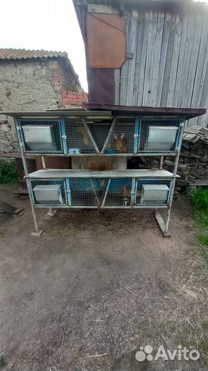 Клетка для кроликов