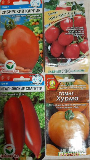 Рассада томатов