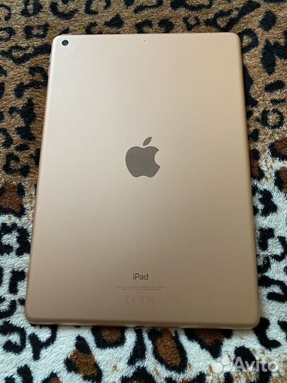 iPad