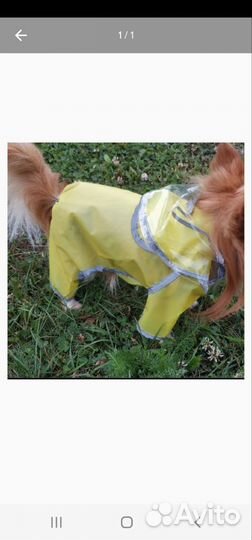Дождевик для маленькой собаки. Размер М