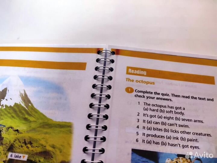 Oxford Team 2 (Учебник + Тетрадь)