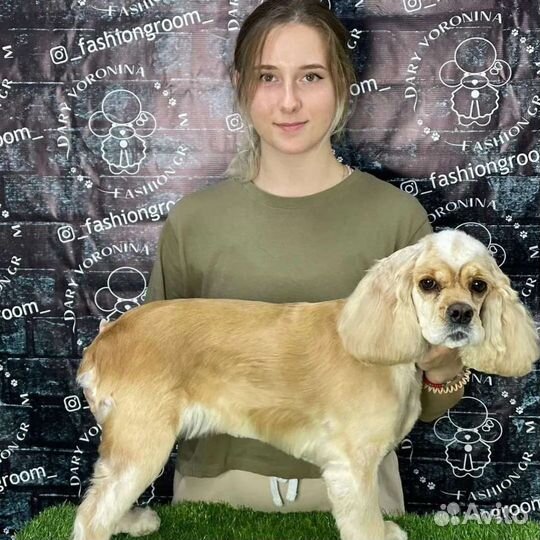 Грумер Груминг Стрижка собак кошек Стриппинг